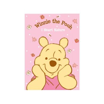 สมุดบันทึกปกอ่อน Pooh - 034