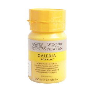 สีอะคริลิค Winsor & Newton Galeria 250 มล.